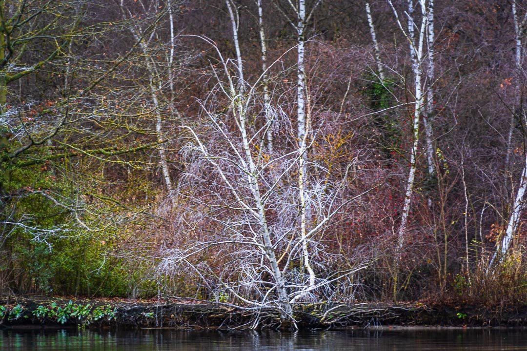 Dutzendteich, Nürnberg